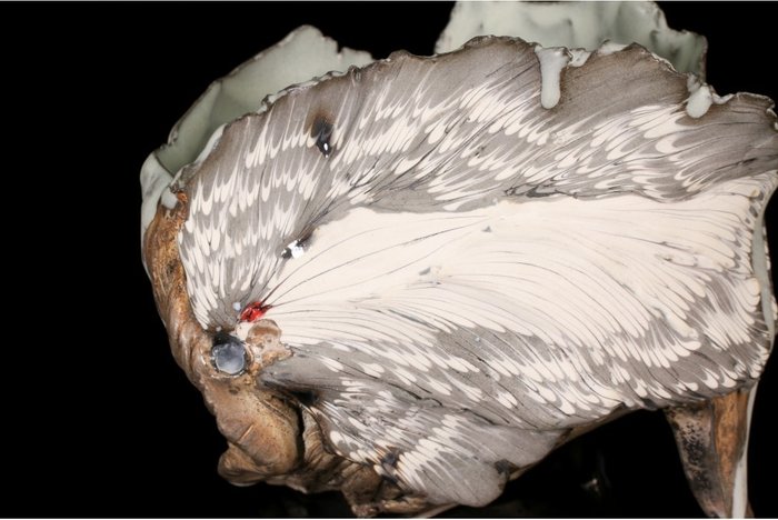 Sayaka Shingu — Gaku-yo Bowl (Calyx Bowl) Contemporary Ceramic Masterpiece (Sold)