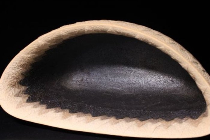 Mihara Ken — Cedar-Grain Yakishime Flower Vessel (Sold)